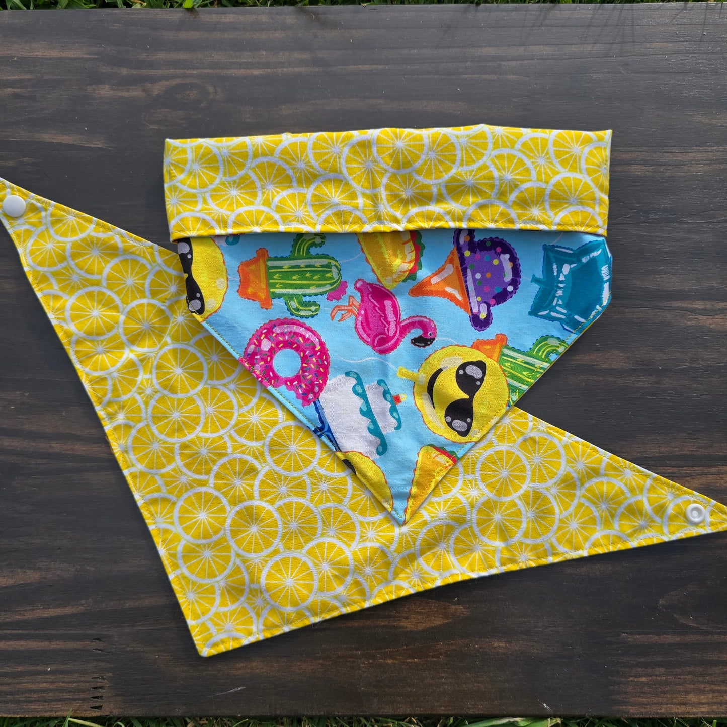 Summer Fun Bandana