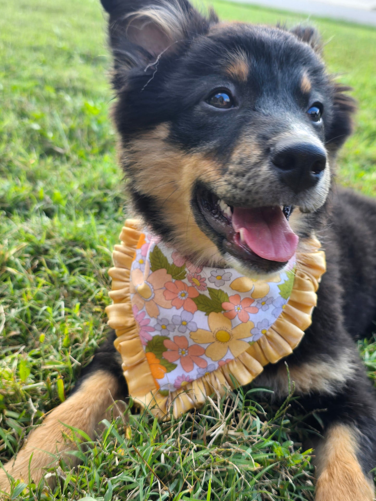 Dolly's Stars and Flowers Ruffle bandana