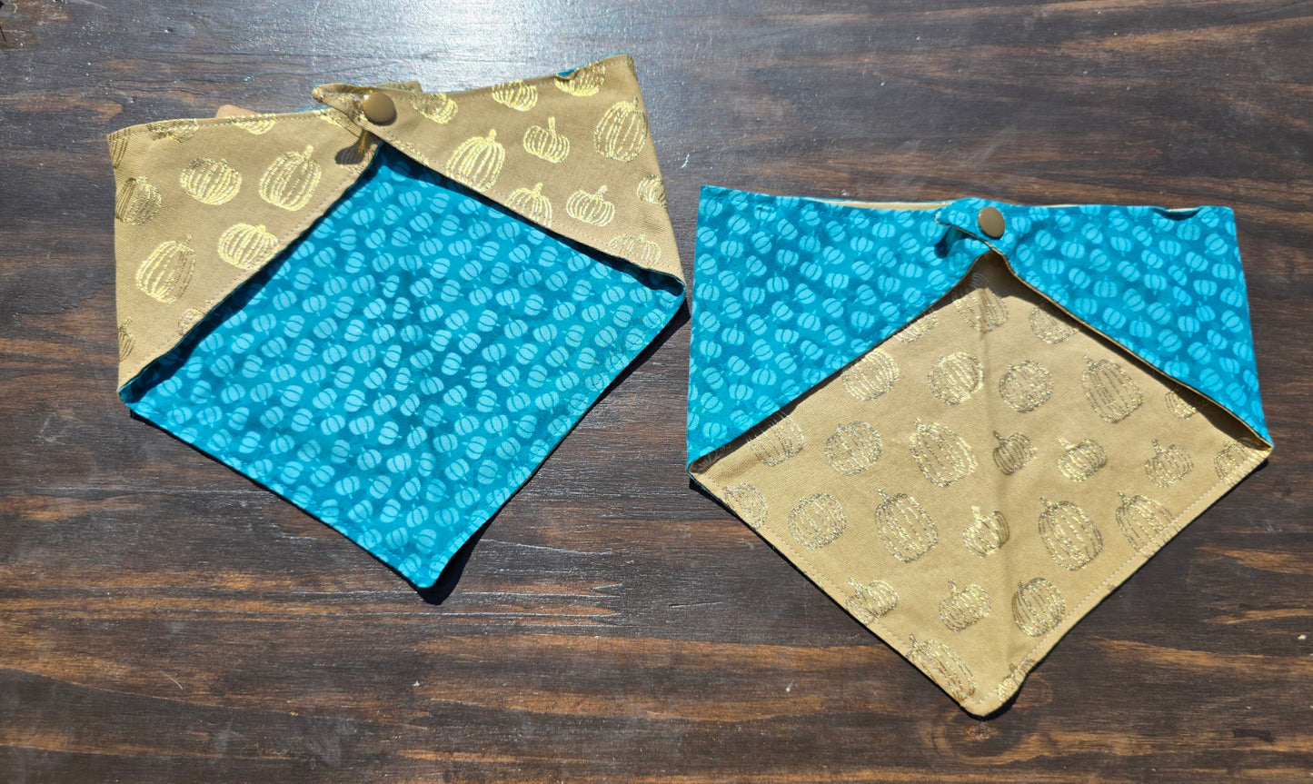 Teal & Golden Pumpkin