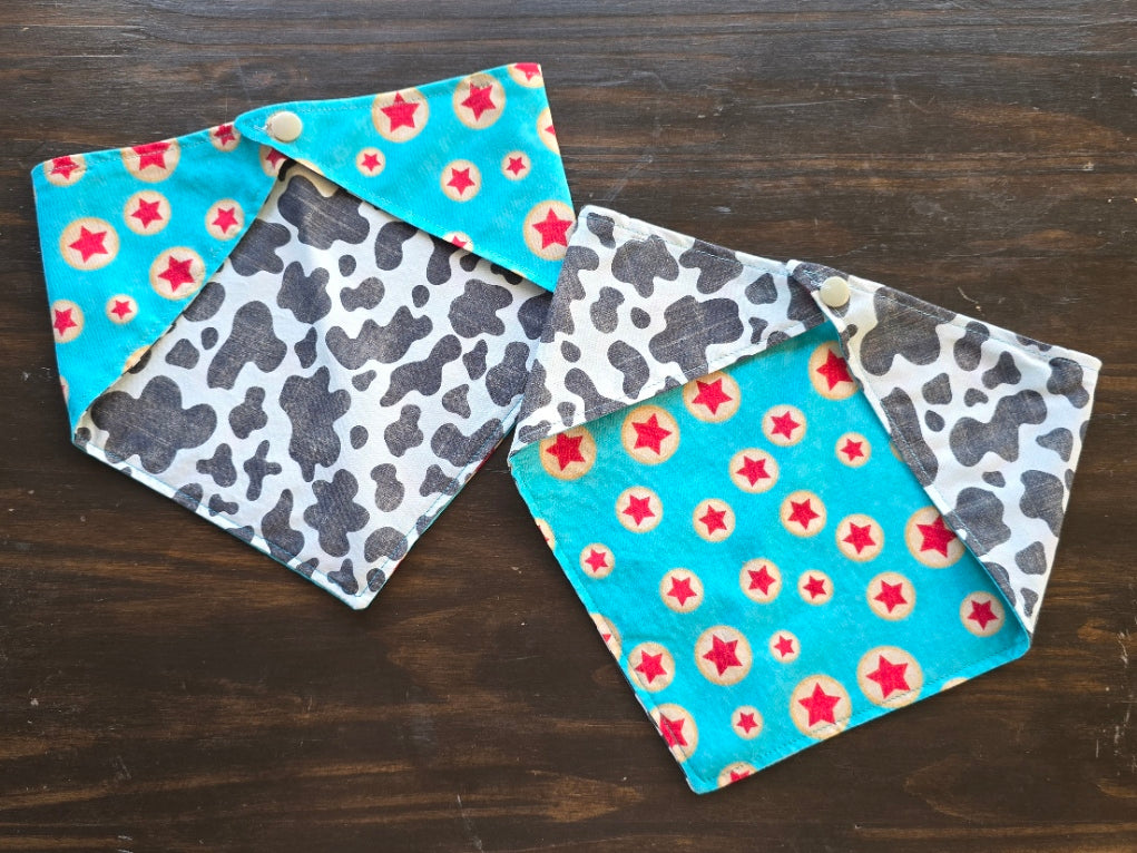 Woody’s Roundup Bandana