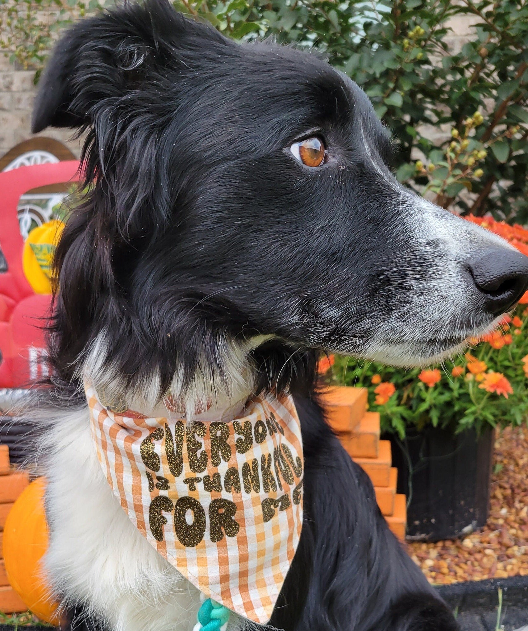 Pumpkin and Plaid Fall Reversible Bandana