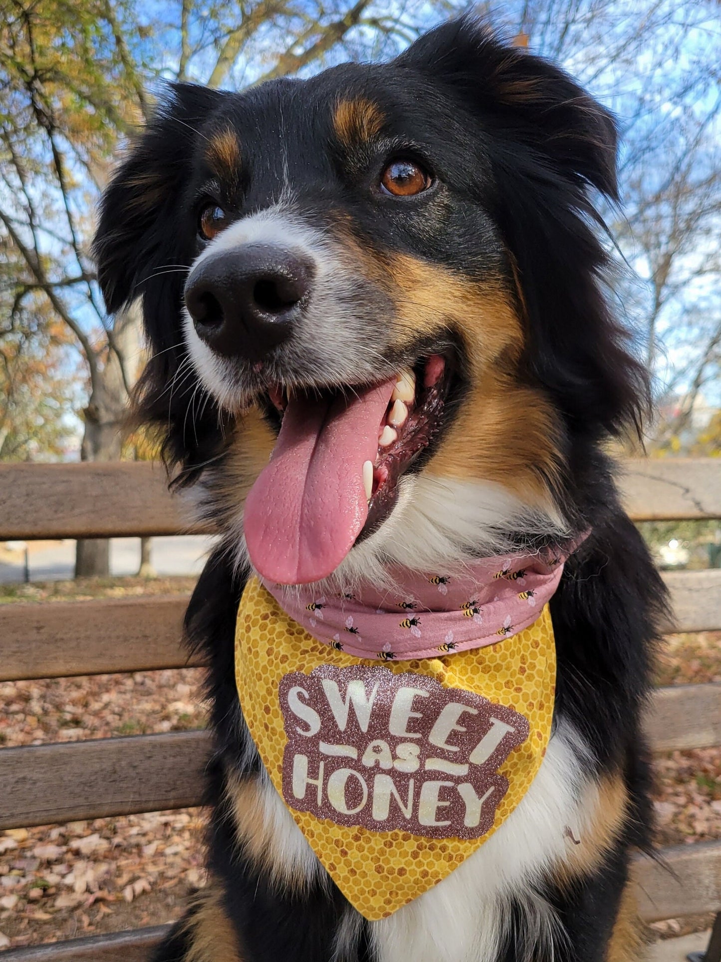 Sweet as Honey Reversible Bandana
