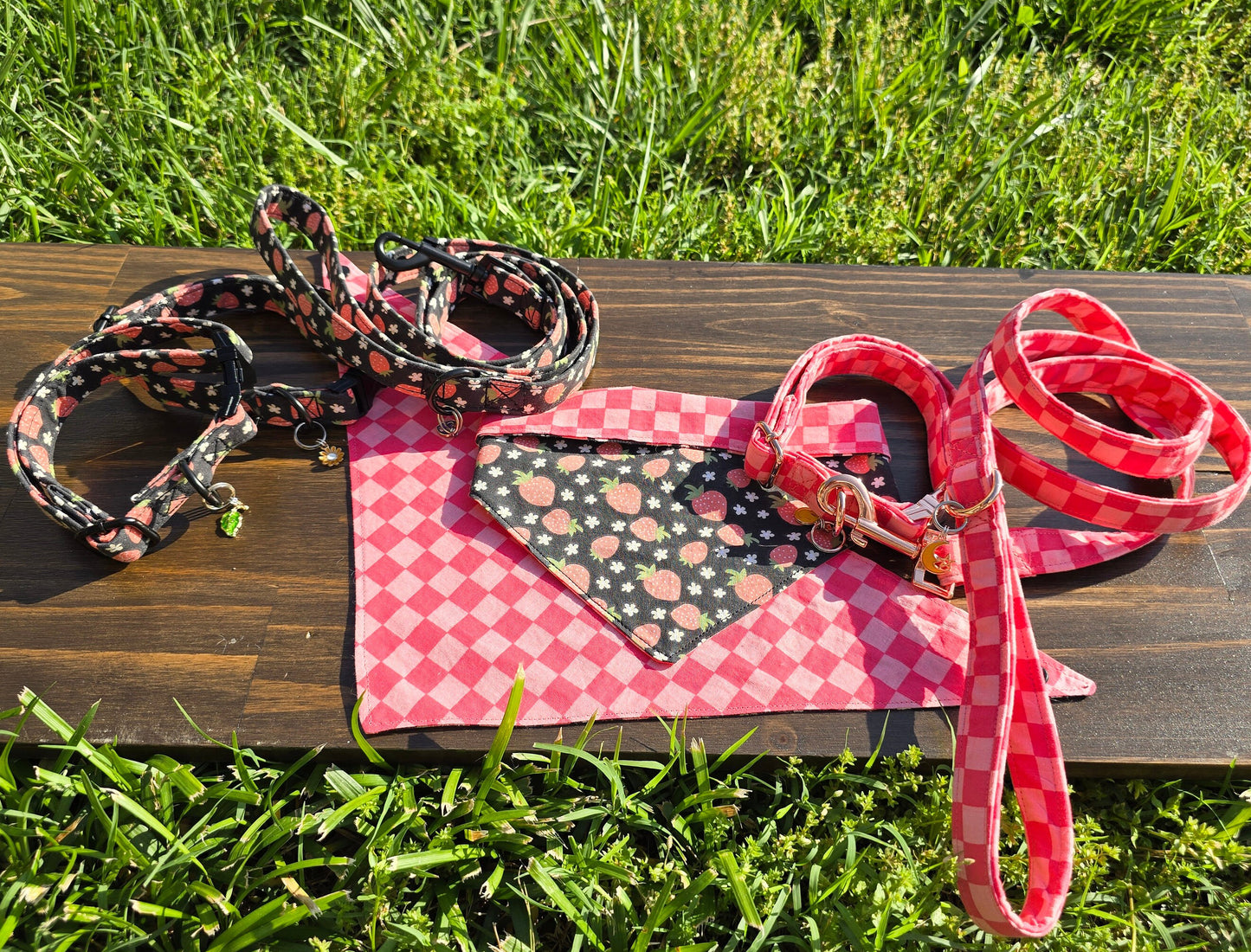 Strawberry Dog Collar and Leash