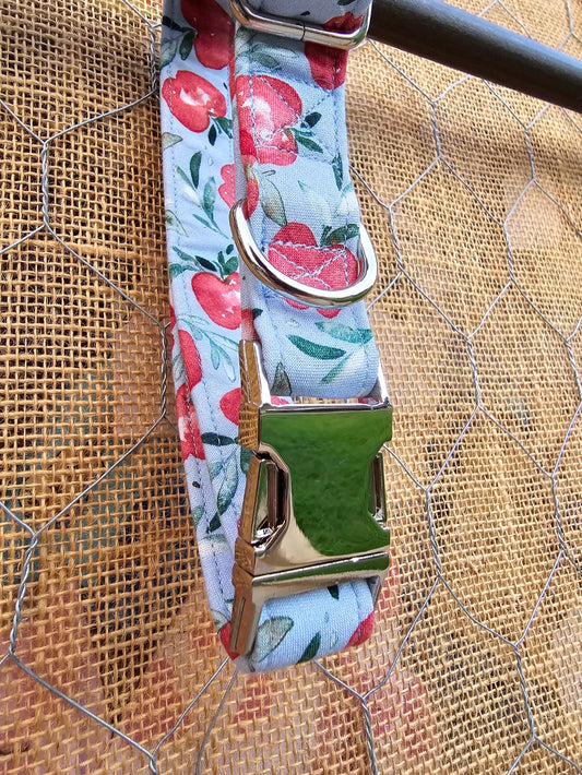 Apple Collar Large