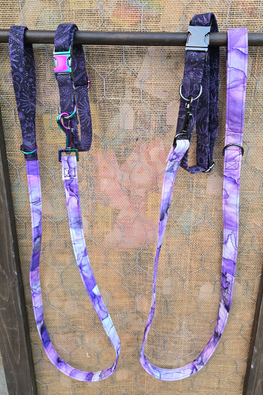 Purple Space Dog Collar and Leash