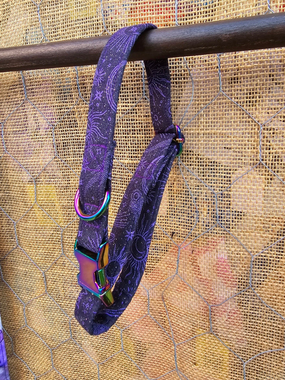 Purple Space Dog Collar and Leash