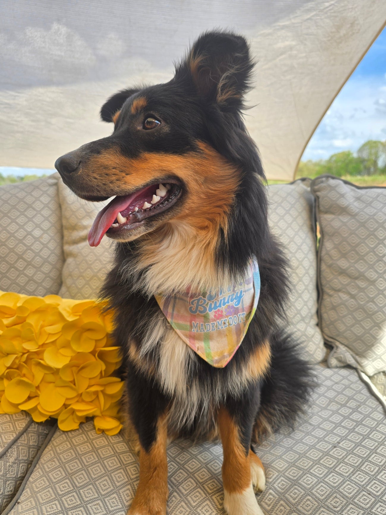 Bandana Personalization