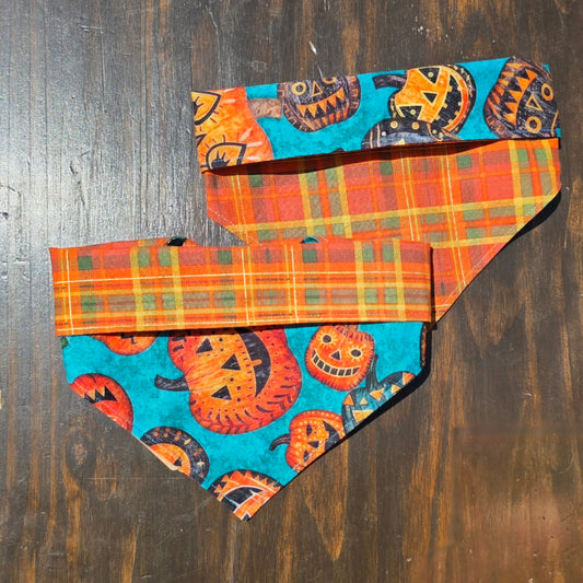 Pumpkin Patch