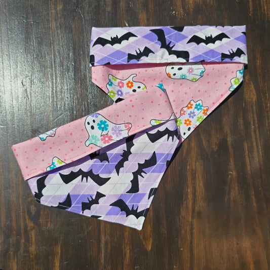 Boo-tiful Bats