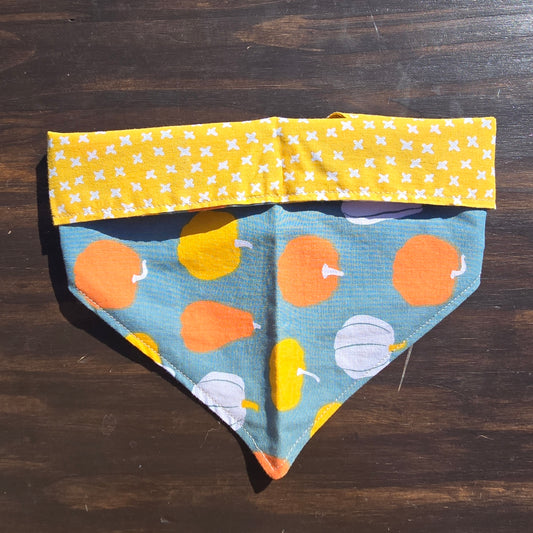 Gourd Bandana