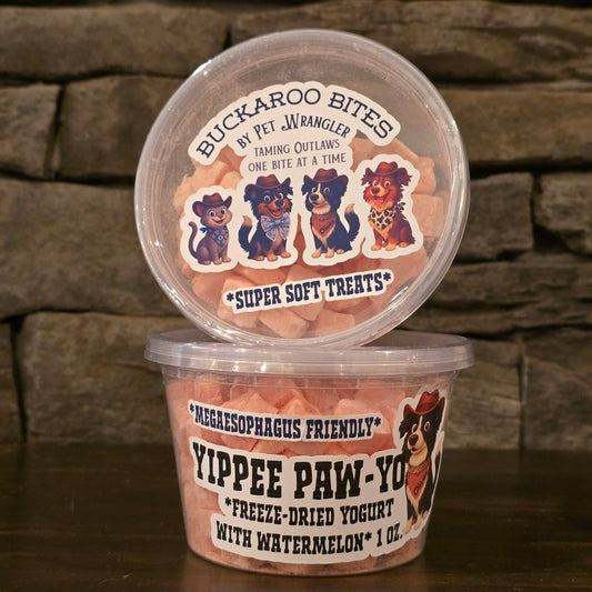Yippee Paw-Yo Watermelon