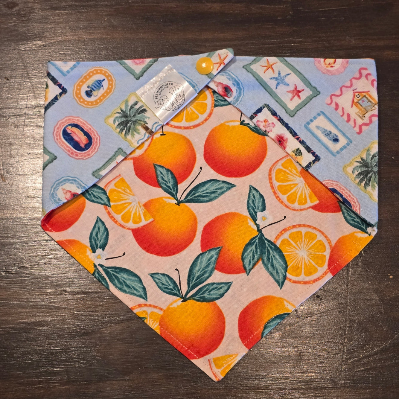 Coastal Tangerine