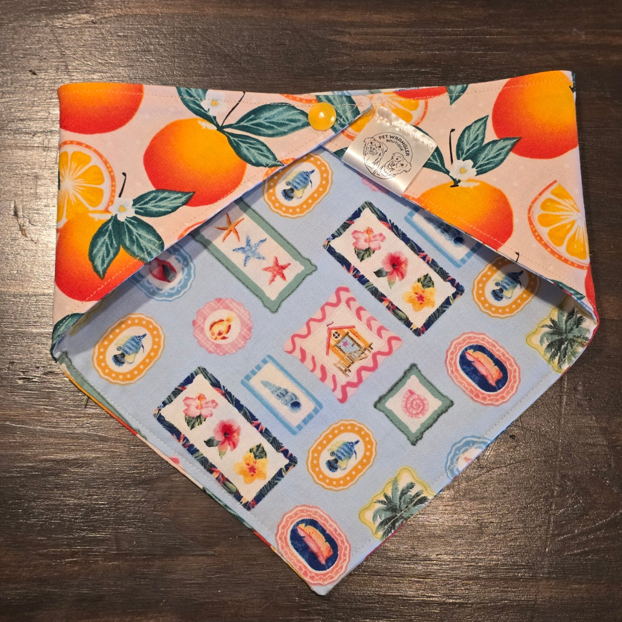 Coastal Tangerine