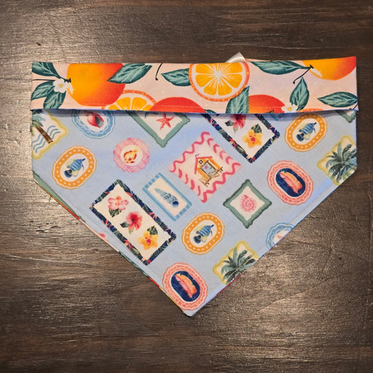 Coastal Tangerine
