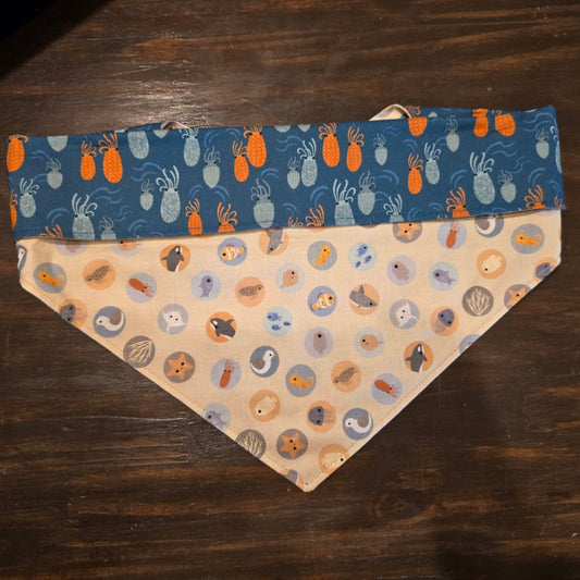 Sea Creatures