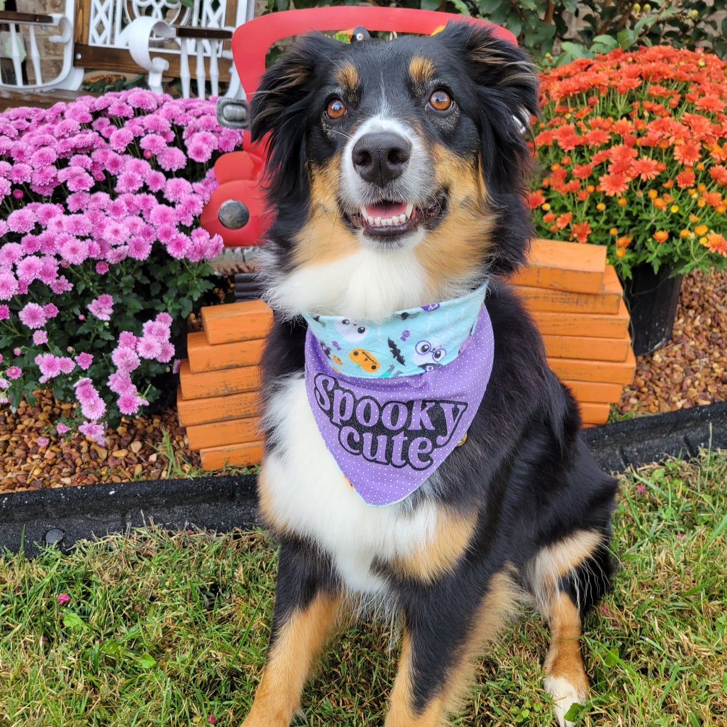 Halloween Dog Bandana Reversible Personalizable