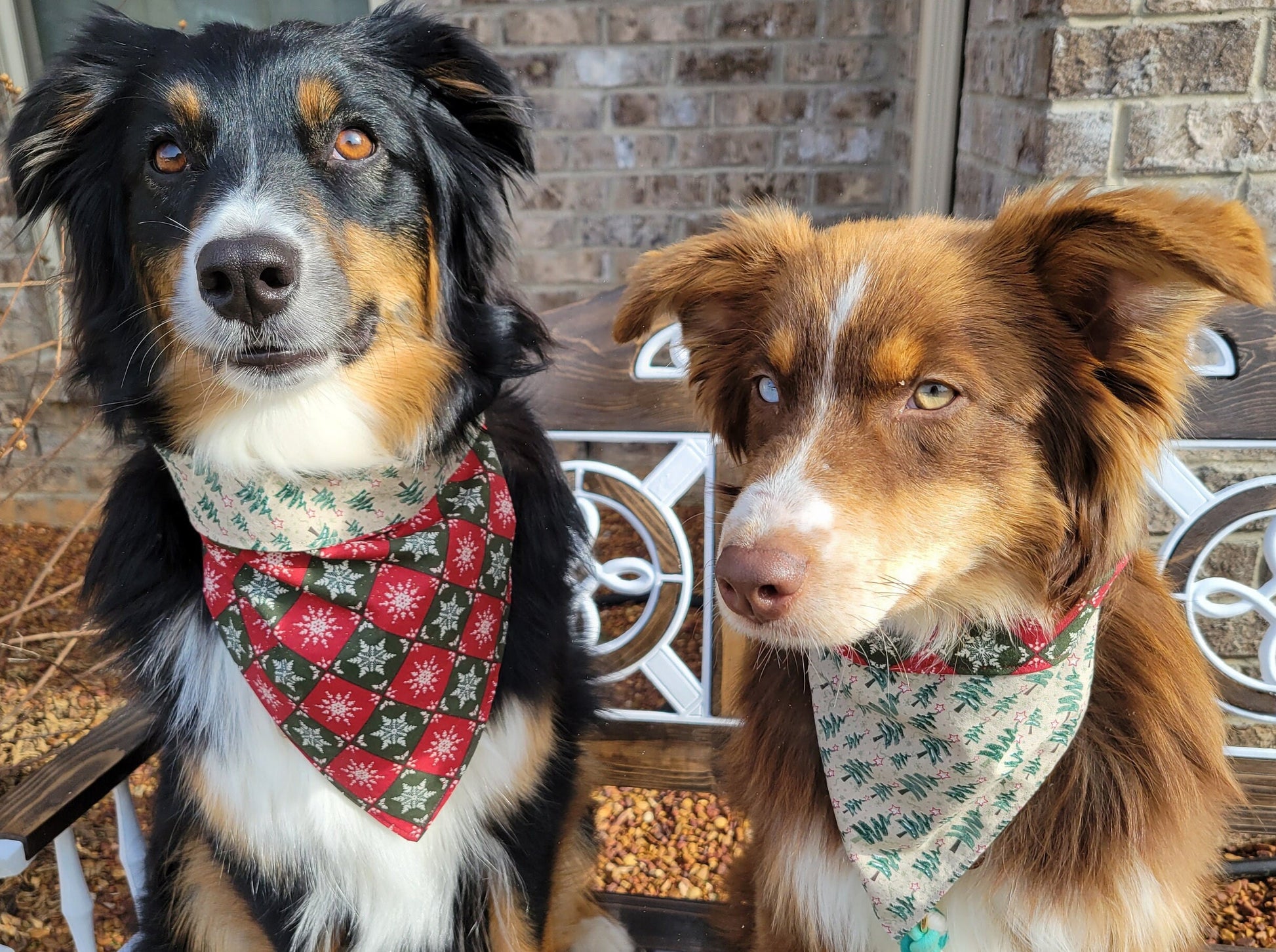 Gingerbread Trees and Christmas Trees Snap-on Reversible Bandana