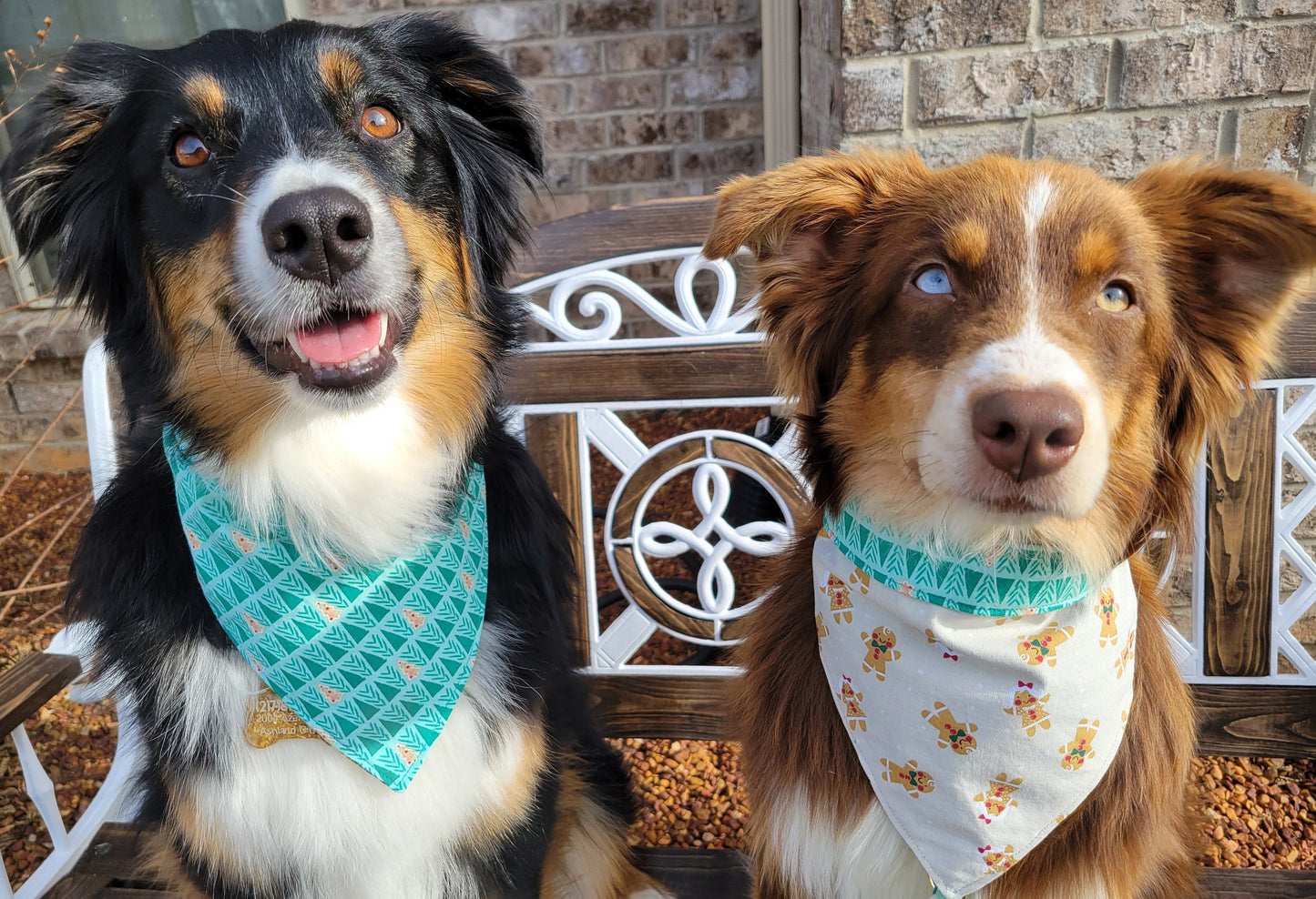 Gingerbread Trees and Christmas Trees Snap-on Reversible Bandana