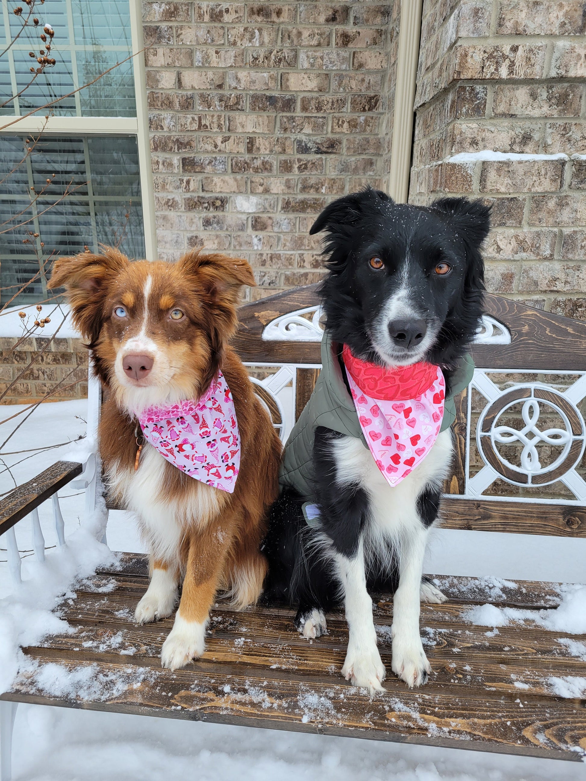 Valentines Bandana - Snap on Reversible - Gnome & Candy Heart