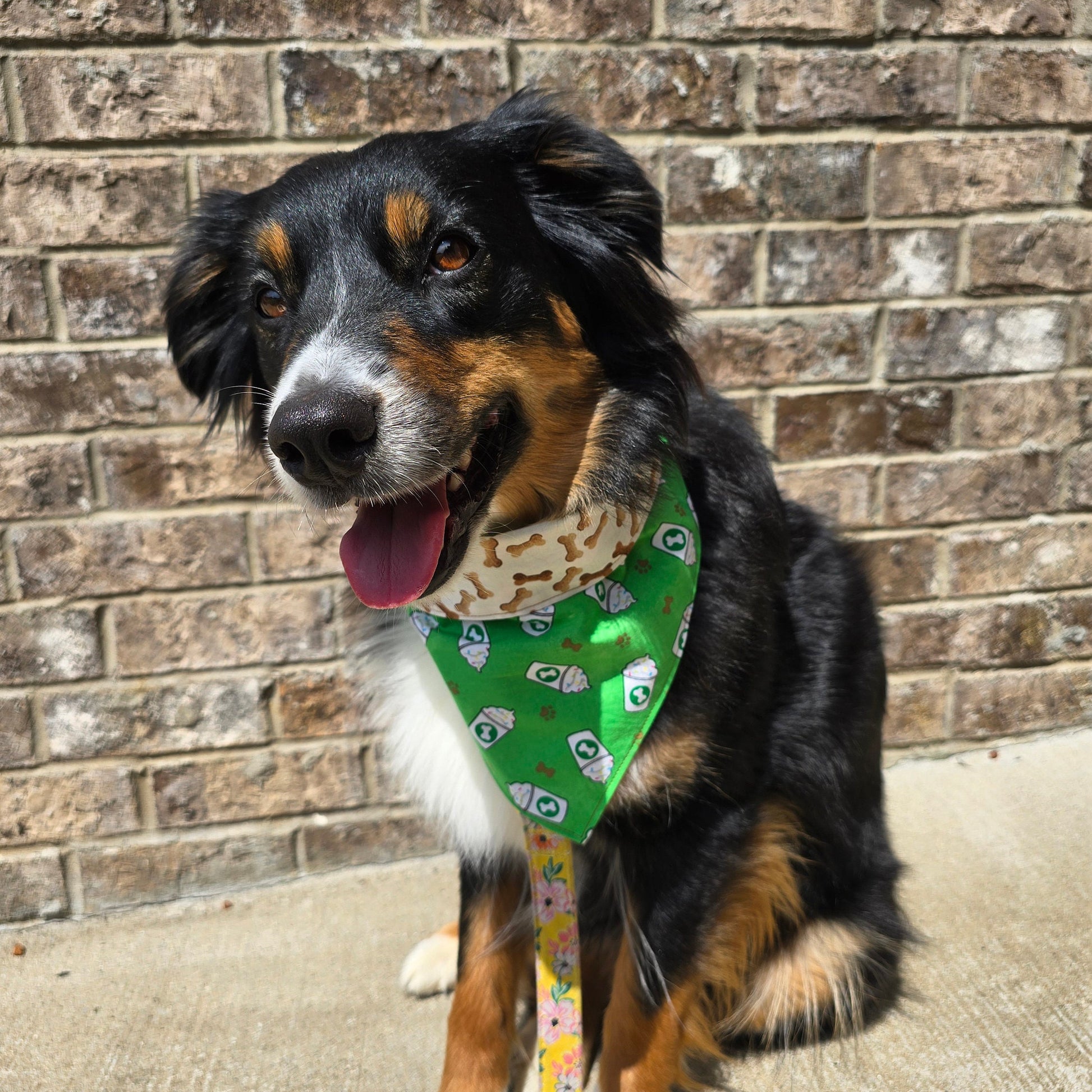 Pup cup and treats Bandana - Snap on Reversible - Dog Bandana - Cat Bandana - Pet scarf - Summer Bandana - Coffee Bandana -Dog treat bandana