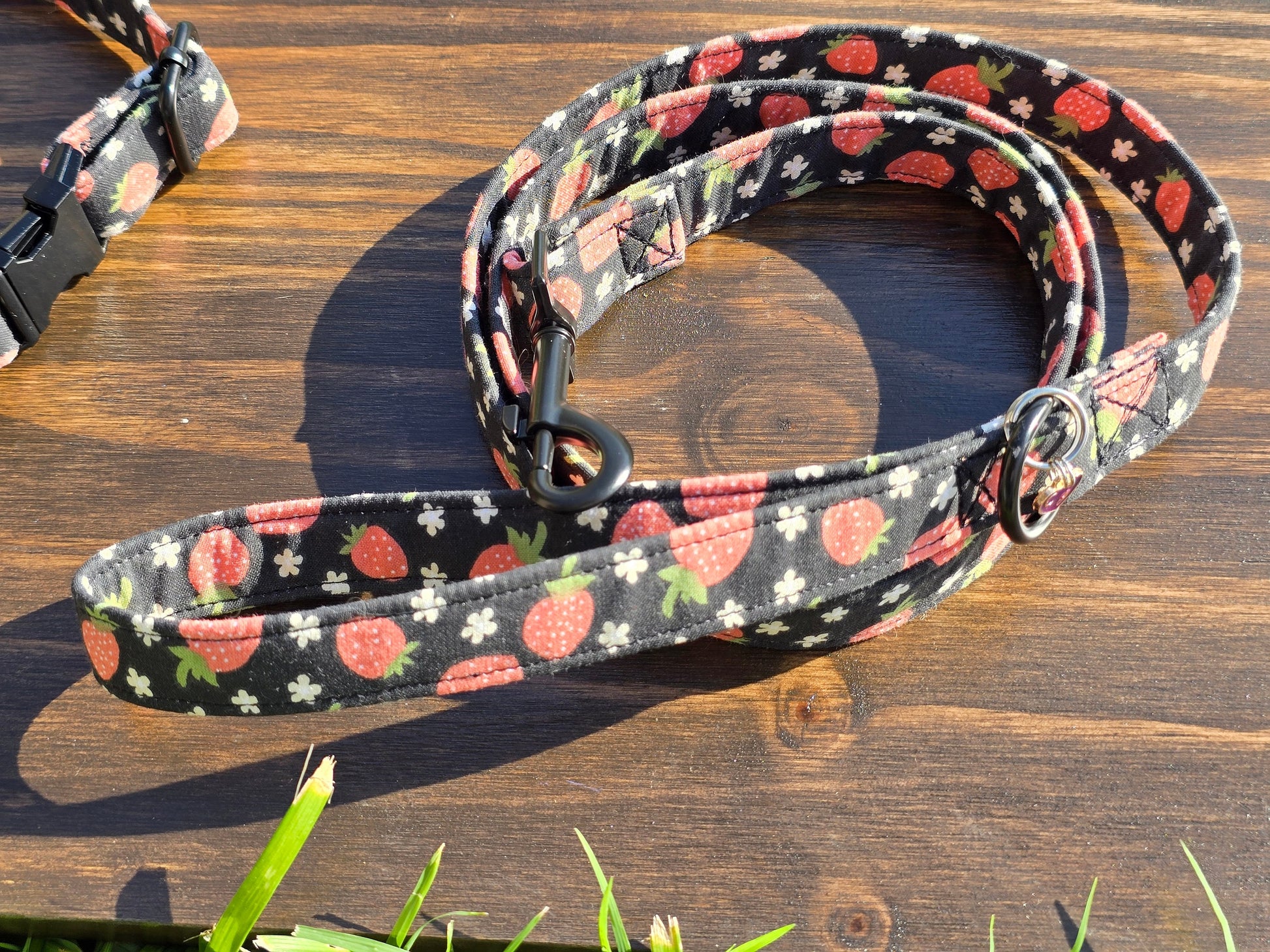 Strawberry Dog Collar and Leash