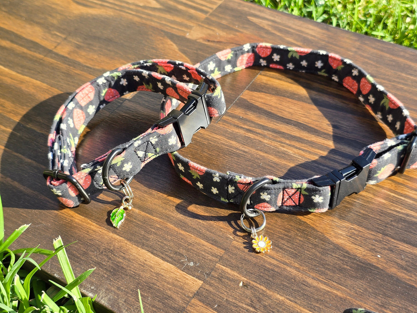 Strawberry Dog Collar and Leash