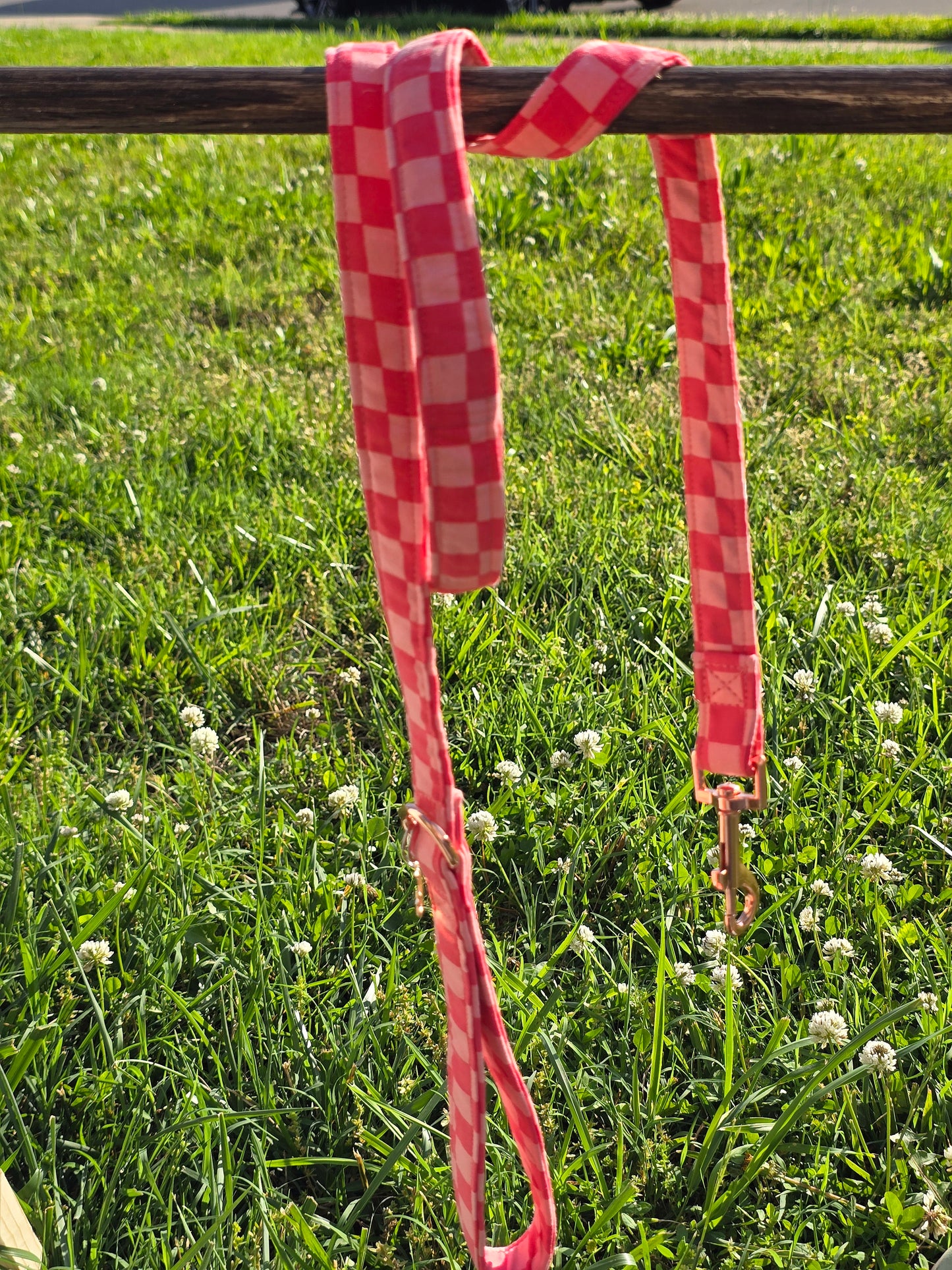 Strawberry Dog Collar and Leash