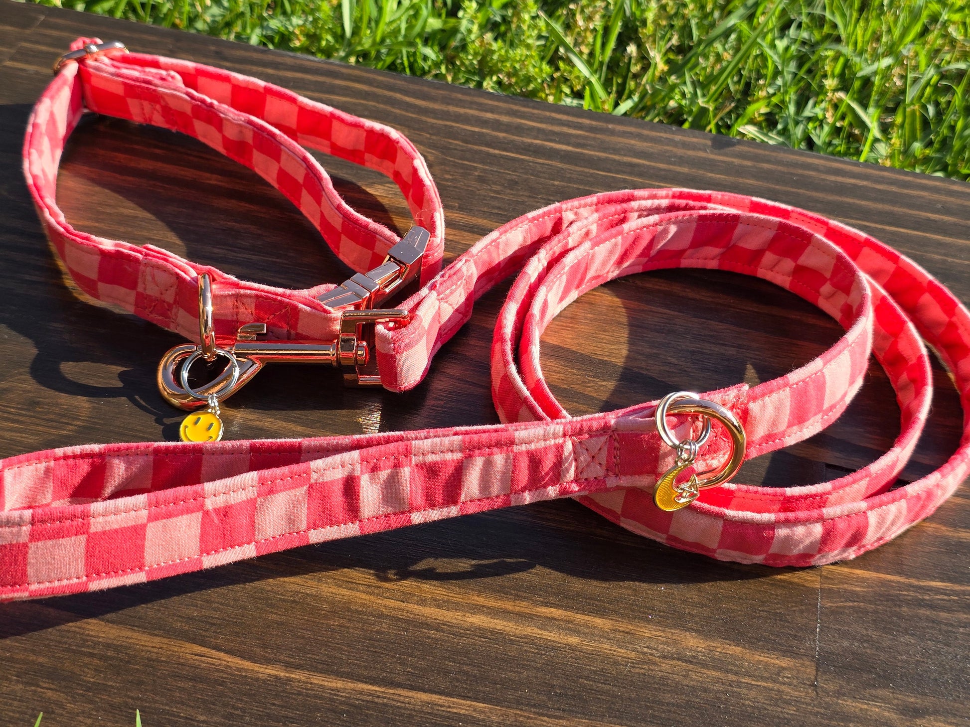 Strawberry Dog Collar and Leash