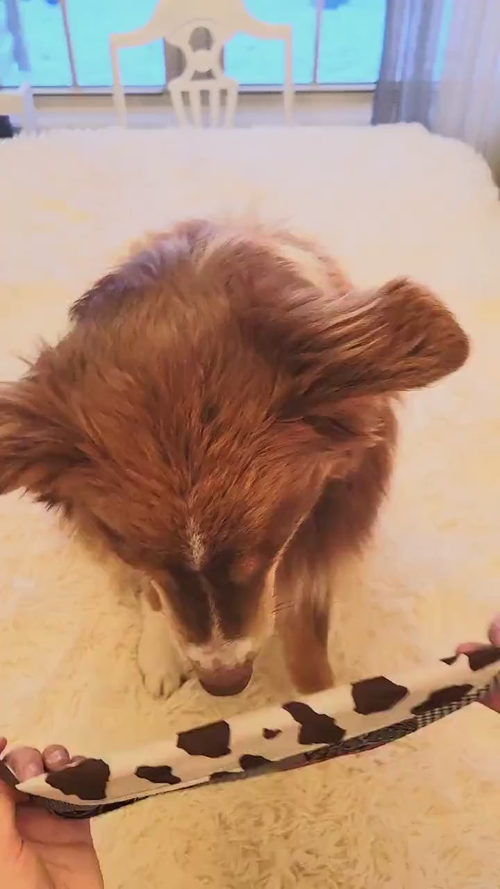 Space Christmas and Peppermint Plaid Limited Christmas and Winter Reversible Bandana